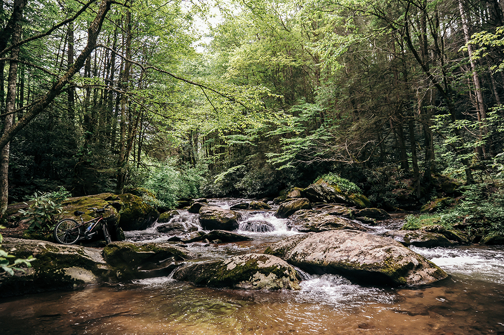 Whitetop Laurel Creek running through VA Creeper Trail